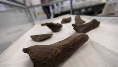 Mastodon bones unearthed at Hampton Roads Bridge-Tunnel construction site