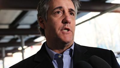 'The guy is telling you!' Michael Cohen flabbergasted by people still doubting Trump plan