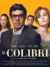 Il colibrì