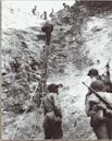 D-Day at Pointe-du-Hoc