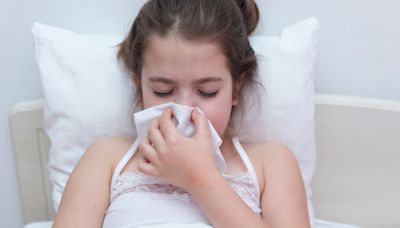 Influenza A, el virus respiratorio que predomina hoy y provoca picos de fiebre alta y decaimiento en niños y adultos