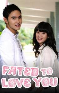 Fated to Love You