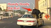A huge bull named Howdy Doody rode shotgun in his owner's car on a highway. Police said the bull is a local celeb, but they had to warn the motorist he was blocking drivers' views.