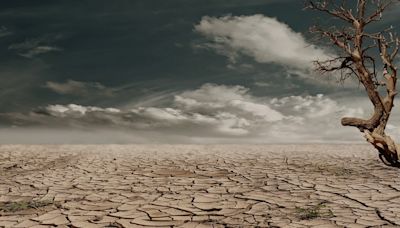 Ni sequías, ni olas de calor ni fuertes tormentas: este es el mayor peligro del cambio climático