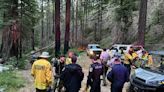 Man missing for days found alive in California wooded area