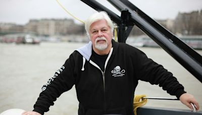 Paul Watson, l'éco-pirate qui fait des vagues