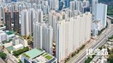 利嘉閣：8月未補價居屋買賣146宗 連挫三月 - 香港經濟日報 - 地產站 - 地產新聞 - 研究報告