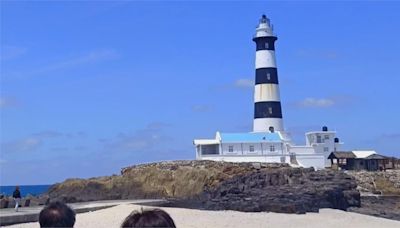 澎湖推海鷗季! 無人島跳島旅行 滿滿海鷗伴飛