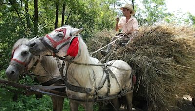 The Best Place to Retire in Romania