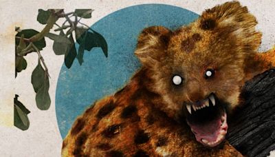 Drop bears: The true history of a fake Australian animal