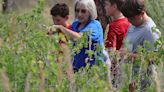 Wildflower Week events promote education, awareness of native plants next week