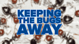 Spring is blooming, but so are the bugs. Here's how to prevent insects from invading your home