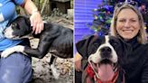 Dog Left Chained Outside for 4 Years Spends His First Holiday Season in a Loving Home