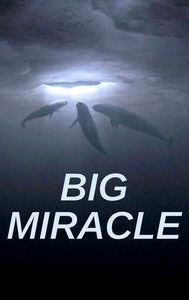 Big Miracle