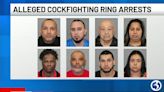 How Waterbury police took down alleged cockfighting ring