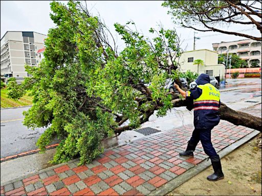 台中樹倒245件 木牆垮塌壓壞4車