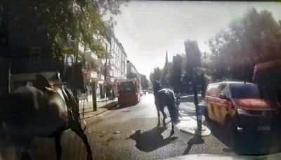 Three runaway military horses bolt through London after riders unseated