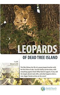 Leopards of Dead Tree Island