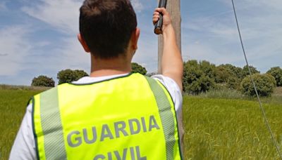 Cuatro detenidos por robar y recibir cable de cobre en zonas poco pobladas de Cuenca