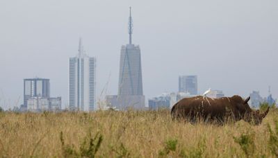 Kenya private sector activity steadies in April, PMI shows