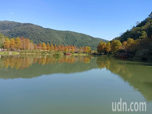 人氣景點燈篙林道可通「抹茶湖」 她曝新秘境不輸抹茶山