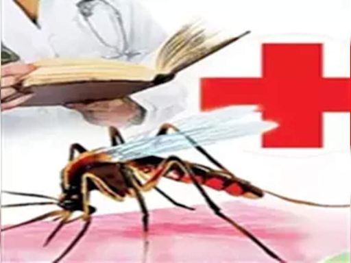 Surging dengue virus in Bengaluru poses threat to women, kids: Doctors | Bengaluru News - Times of India