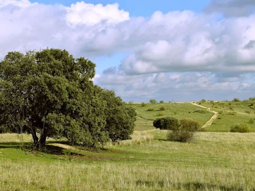 ‘Salvemos Los Carriles’ y ‘Dehesa Viva’ se unen para reivindicar los últimos espacios naturales de Alcobendas y Sanse