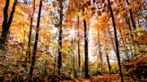 When is the first day of fall? What to know about the 2023 autumn equinox.