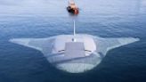 US Navy's Secret Manta-Ray Drone Seen On Google Maps - WATCH First Look