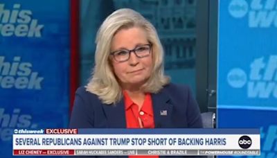 Liz Cheney torches Nikki Haley over support for Donald Trump