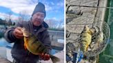 Indiana Fisherman Catches State-Record Yellow Perch During Local Fishing Derby