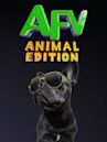 America's Funniest Home Videos: Animal Edition