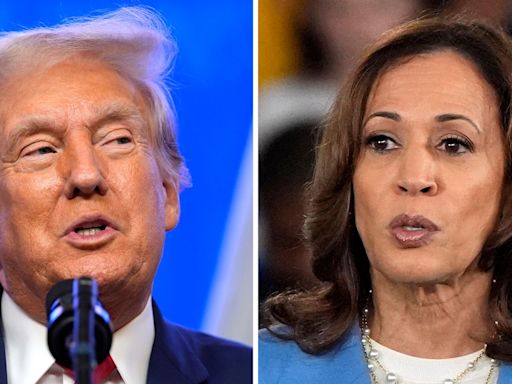 Five things to look out for in Kamala Harris and Donald Trump's debate tonight