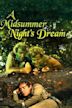 A Midsummer Night's Dream