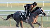 Belmont Stakes Builds on Smart Strike's Sterling Legacy