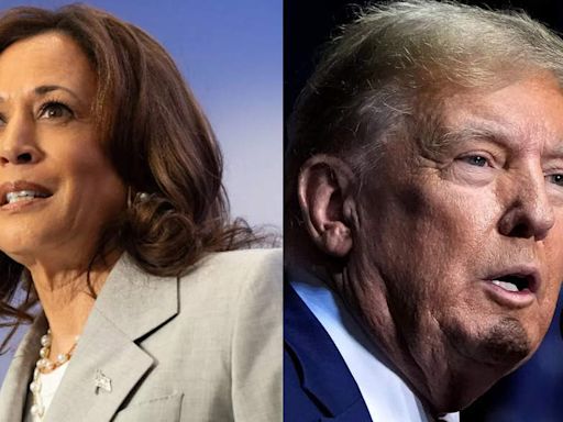 'Say it to my face': Kamala Harris taunts Donald Trump at Atlanta Rally, energizes supporters ahead of 2024 US election - Times of India