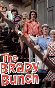 The Brady Bunch