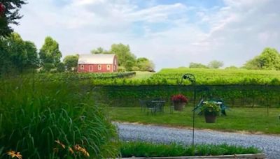 Md. winery owners enjoy sharing the ‘craft, story and passion’ of their business