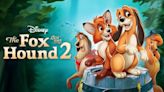 The Fox And The Hound 2: Where to Watch & Stream Online