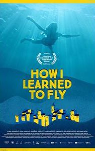 How I Learned to Fly