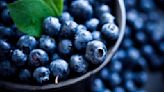 The Ultimate Guide To Blueberries