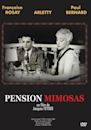 Pension Mimosas