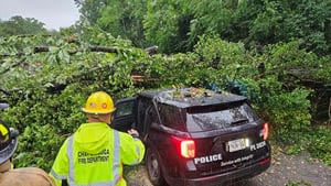 Officer injured after tree falls on patrol car in Tennessee