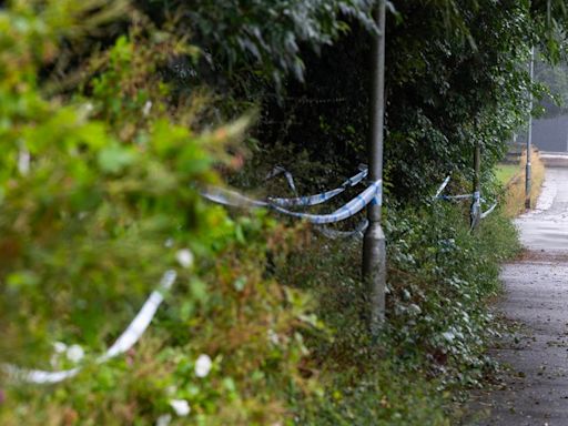 Horror as popular dog walking spot turns into murder scene