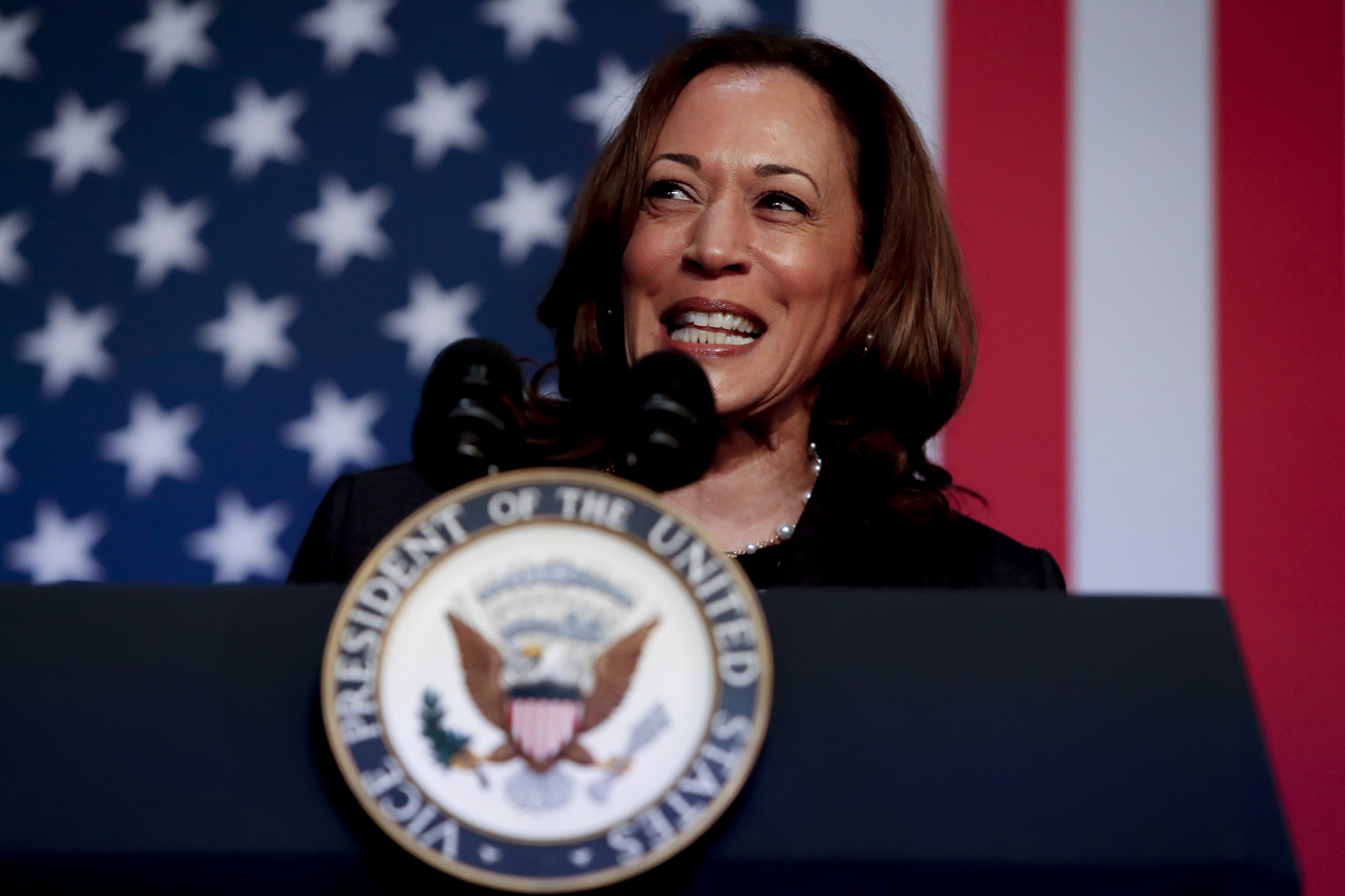 "Insanity" to fight Kamala Harris, US polling "Nostradamus" warns Democrats