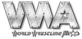 World Wrestling All-Stars