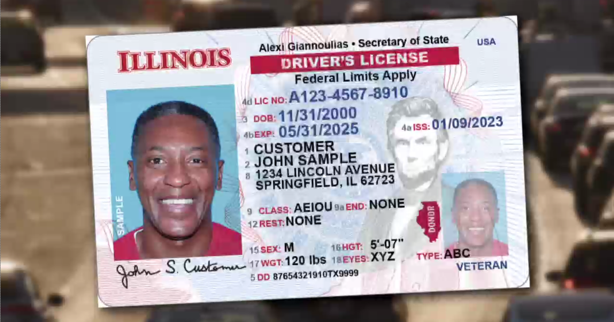 Undocumented immigrants now eligible for standard Illinois driver's licenses with "federal limits"