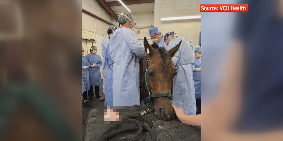 Medical director uses new technology to save horse’s skin after massive barn fire