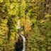 Lynn Canyon Park