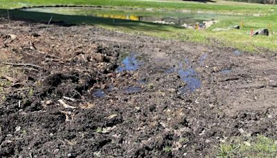 The Country Club of Pittsfield cut down trees in and around golf course wetlands. It was a violation of state environmental law